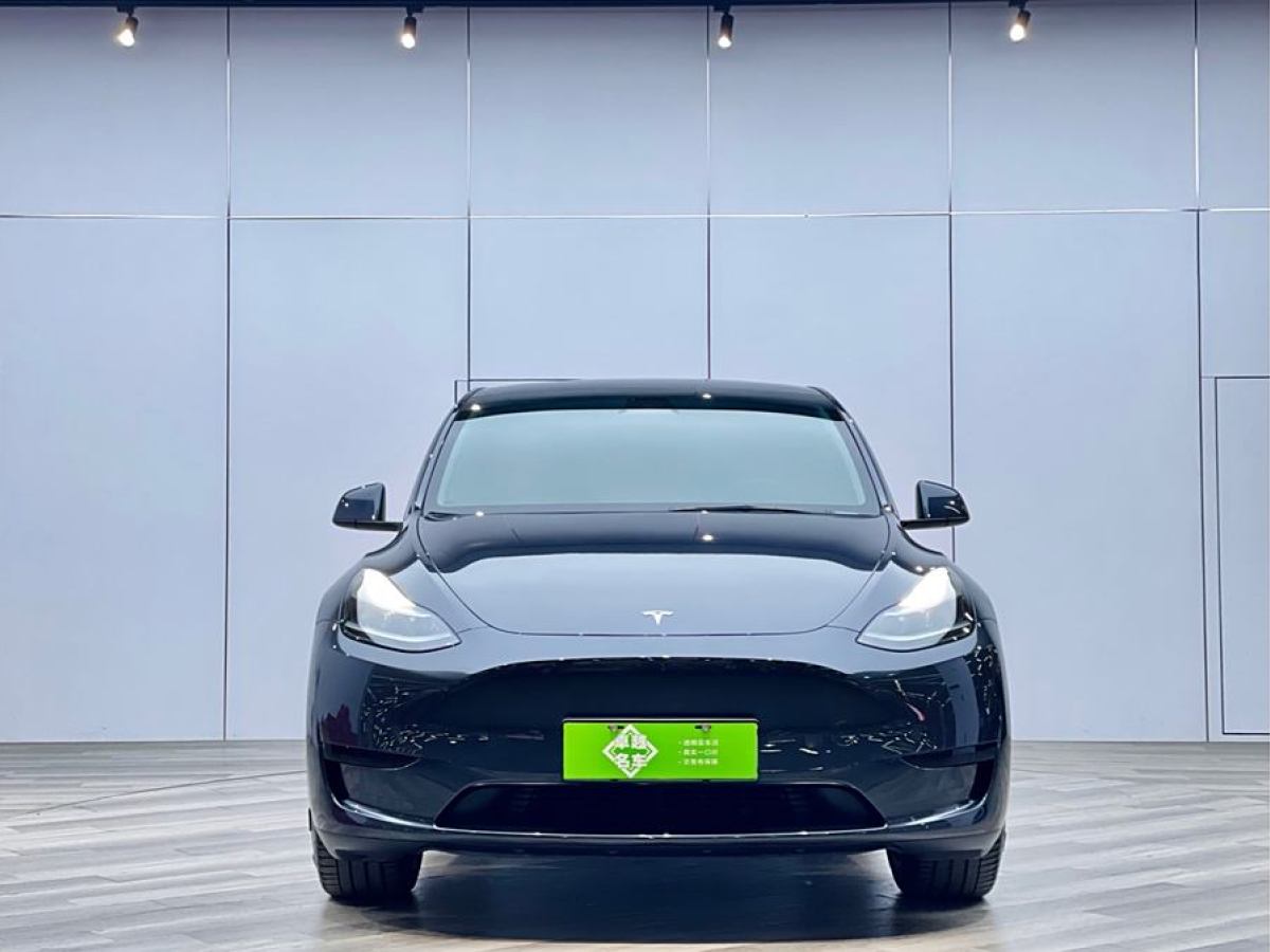 特斯拉 Model 3  2020款 改款 長續(xù)航后輪驅(qū)動版圖片