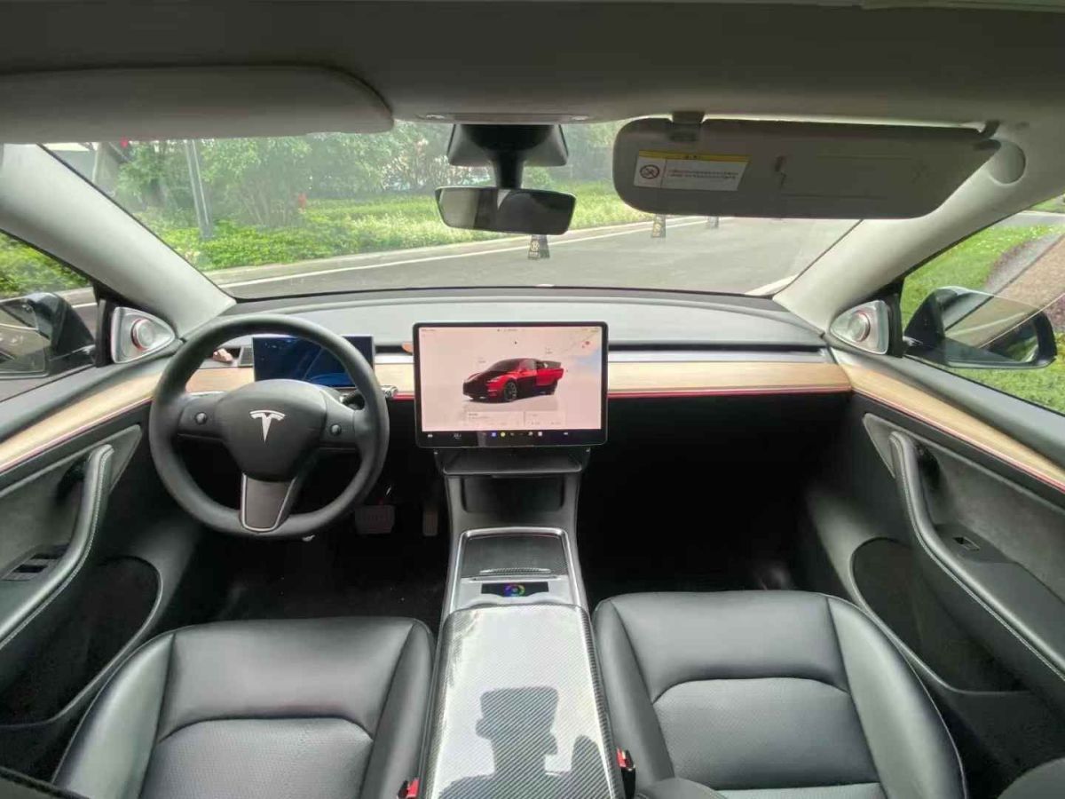 特斯拉 Model Y  2022款 Performance高性能全輪驅(qū)動(dòng)版圖片