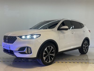 2021年1月 WEY VV6 2.0T 两驱智享+图片