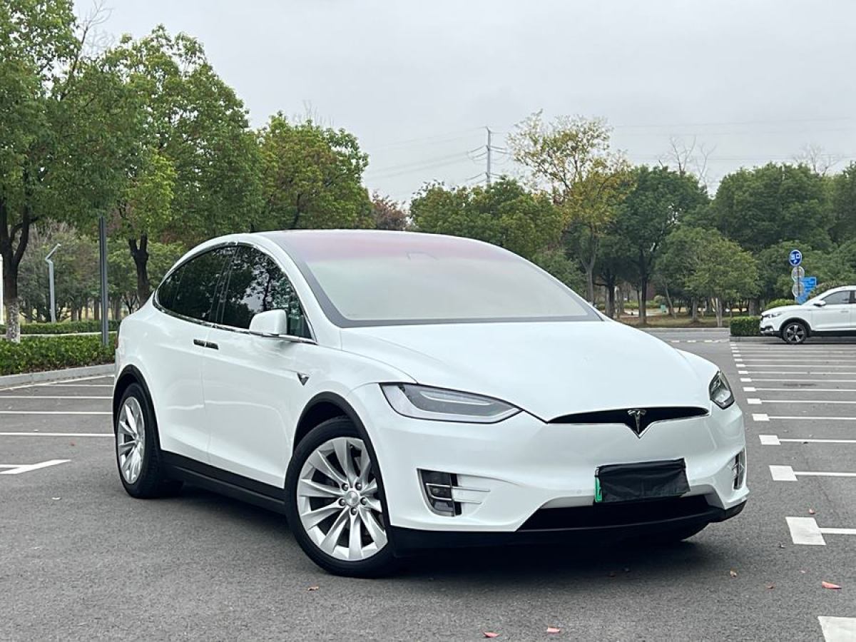 特斯拉 Model X  2017款 Model X 100D 長(zhǎng)續(xù)航版圖片