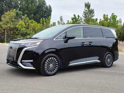 2023年3月 腾势 腾势D9 EV 600 四驱尊荣型图片