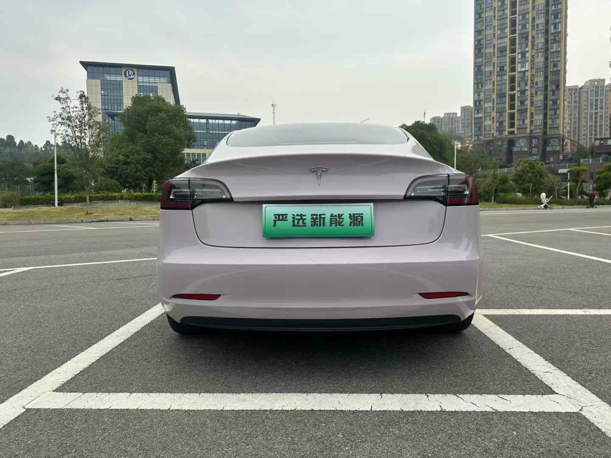 特斯拉 Model X  2020款 Performance 高性能版圖片