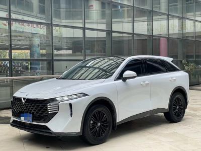 2023年2月 啟辰 啟辰大V 260T 愛(ài)豆版圖片