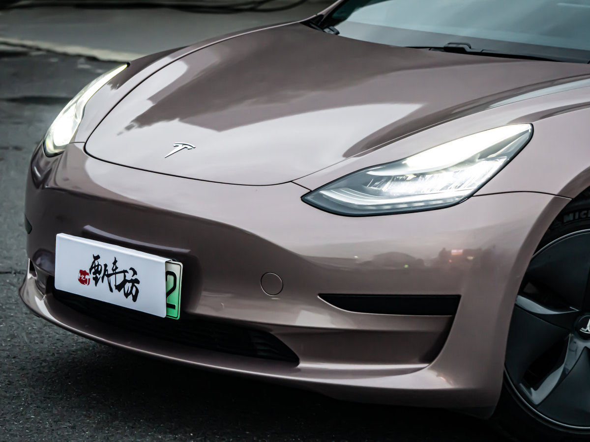 特斯拉 Model 3  2019款 標準續(xù)航后驅(qū)升級版圖片