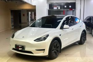 Model Y 特斯拉 Performance高性能版