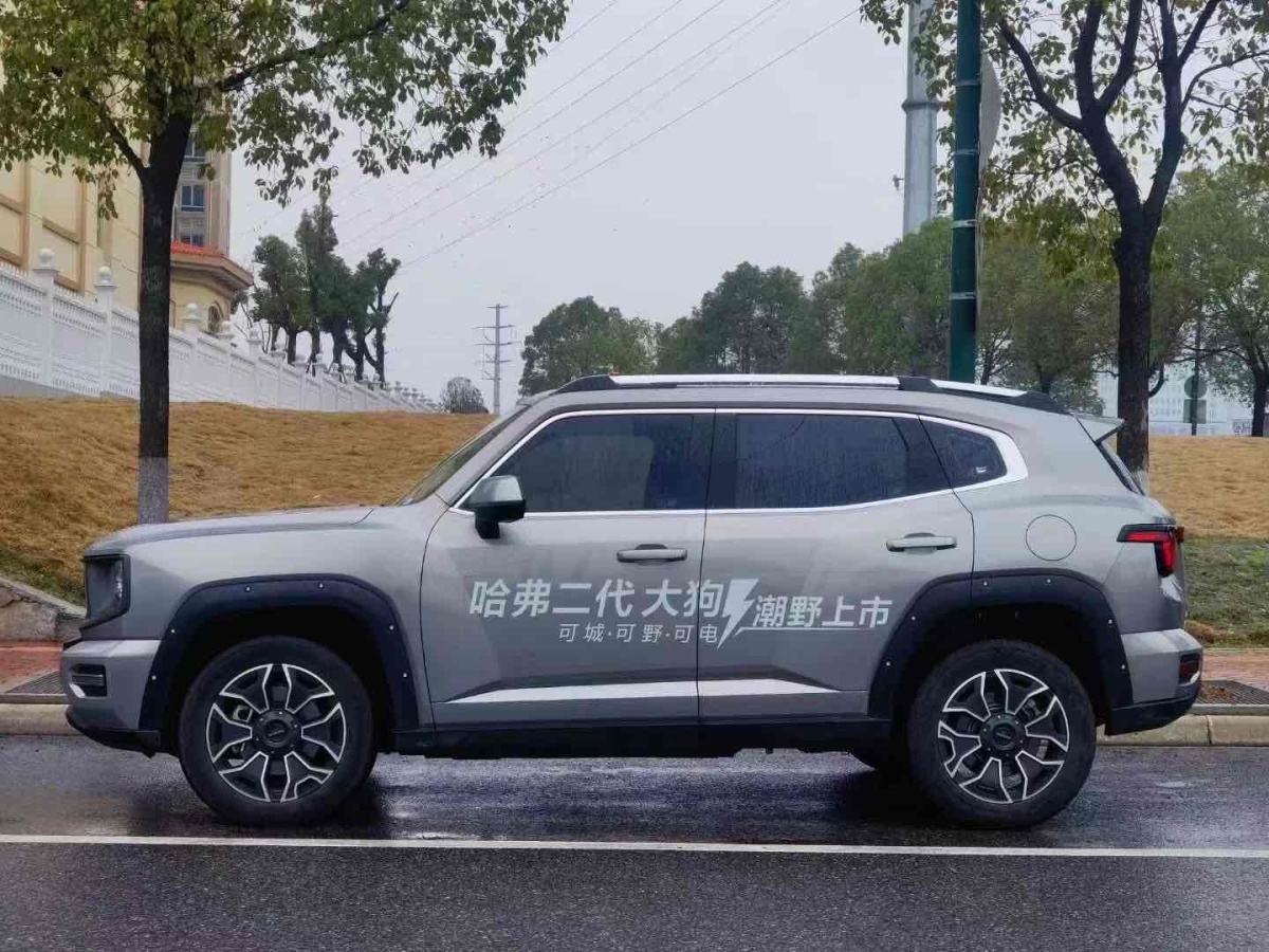 哈弗 哈弗二代大狗新能源  2023款 DHT-PHEV 105km 潮電版Plus圖片