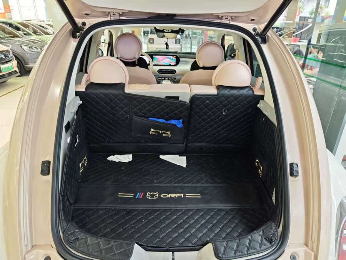 歐拉 歐拉芭蕾貓  2022款 500km 天鵝湖版圖片