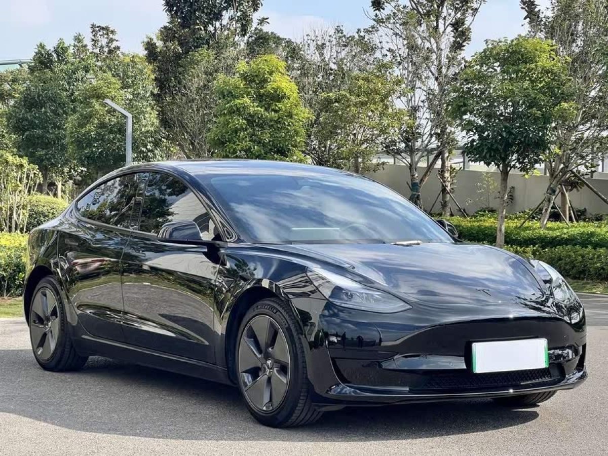 特斯拉 Model 3  2022款 后輪驅(qū)動(dòng)版圖片