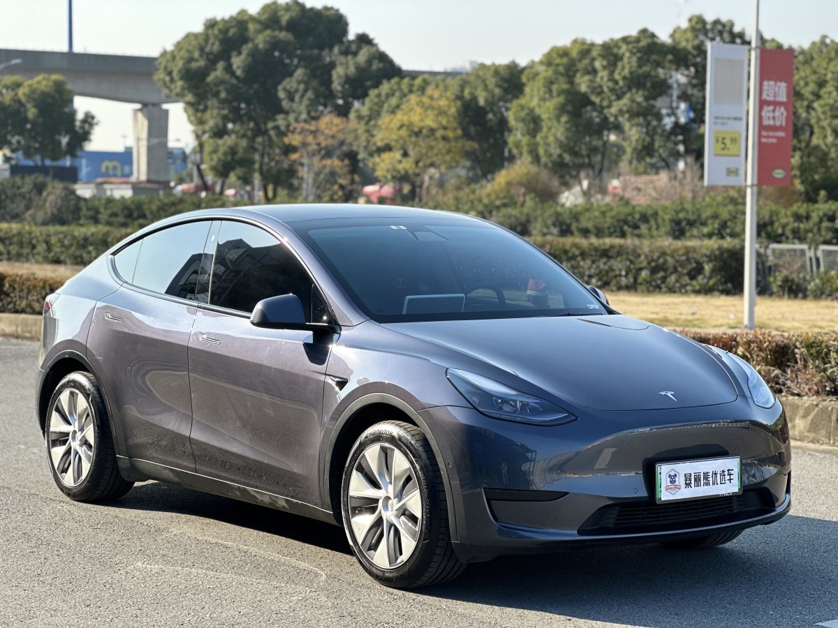 特斯拉 Model 3  2020款 改款 長(zhǎng)續(xù)航后輪驅(qū)動(dòng)版圖片