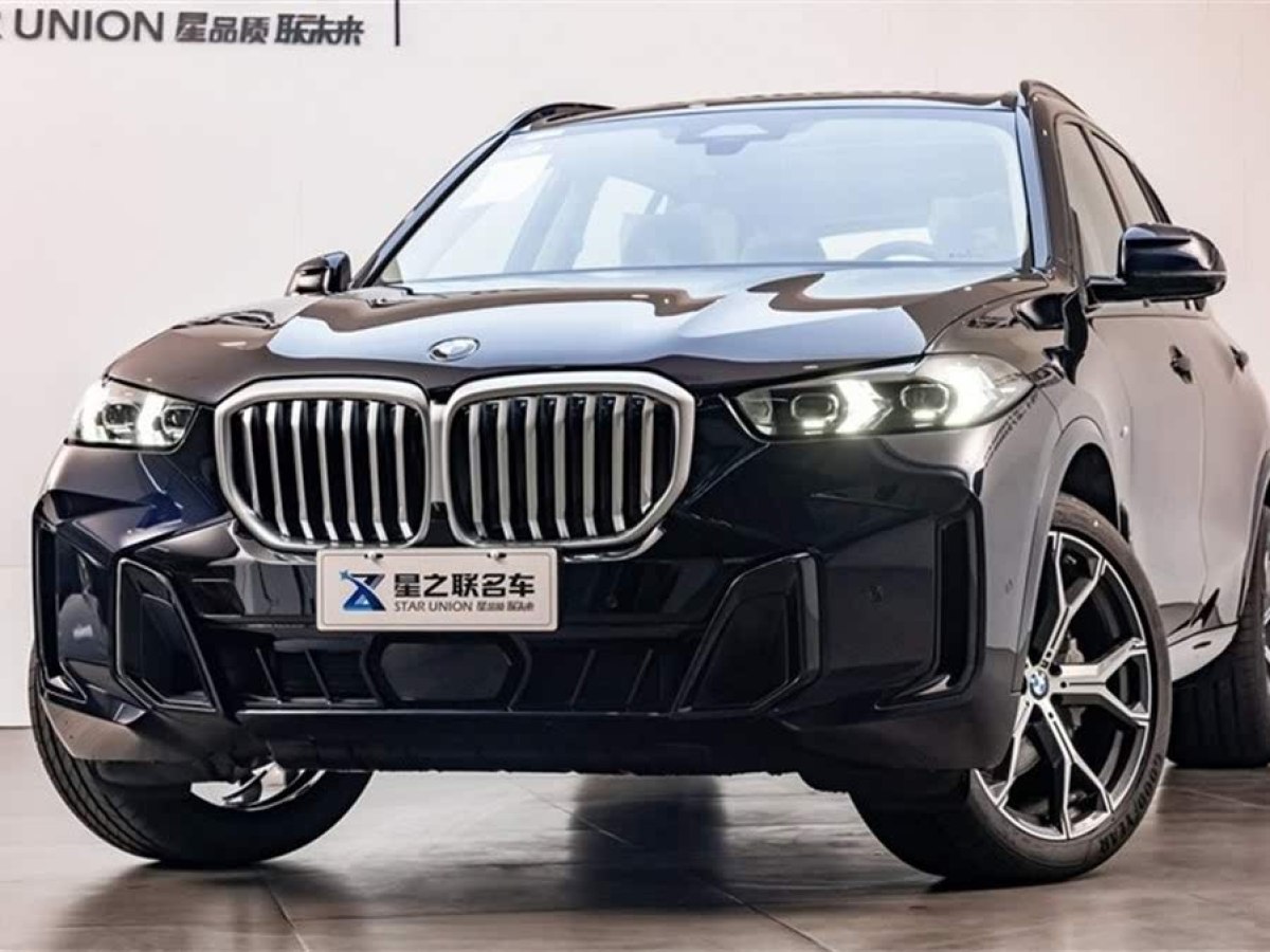 寶馬 寶馬X5  2023款 xDrive 30Li 尊享型M運(yùn)動(dòng)曜夜套裝圖片