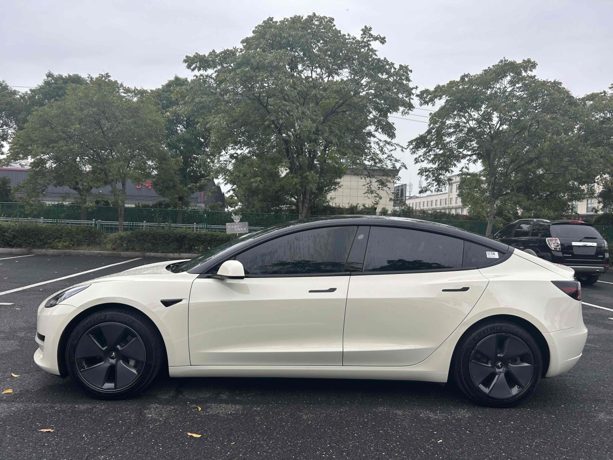 特斯拉 Model 3  2023款 煥新版 后輪驅(qū)動圖片