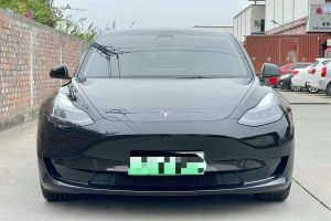 Model 3 特斯拉 Performance高性能全轮驱动版