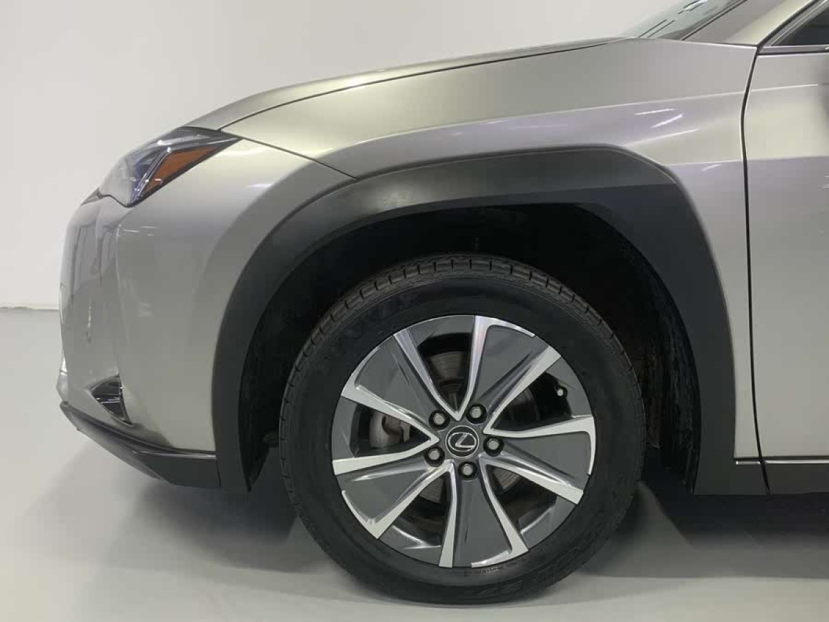 雷克薩斯 雷克薩斯UX新能源  2020款 300e 純?享版圖片
