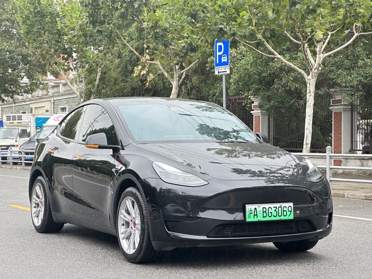 特斯拉 Model Y  2020款 改款 長續(xù)航后輪驅(qū)動版圖片