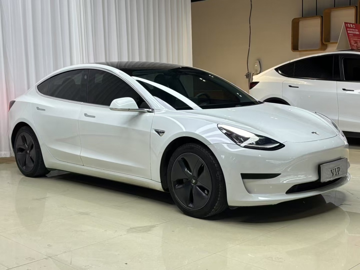 特斯拉 Model 3  2019款 標(biāo)準(zhǔn)續(xù)航后驅(qū)升級(jí)版圖片