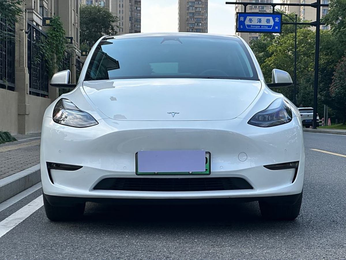 2024年1月特斯拉 Model 3  2024款 長(zhǎng)續(xù)航全輪驅(qū)動(dòng)版