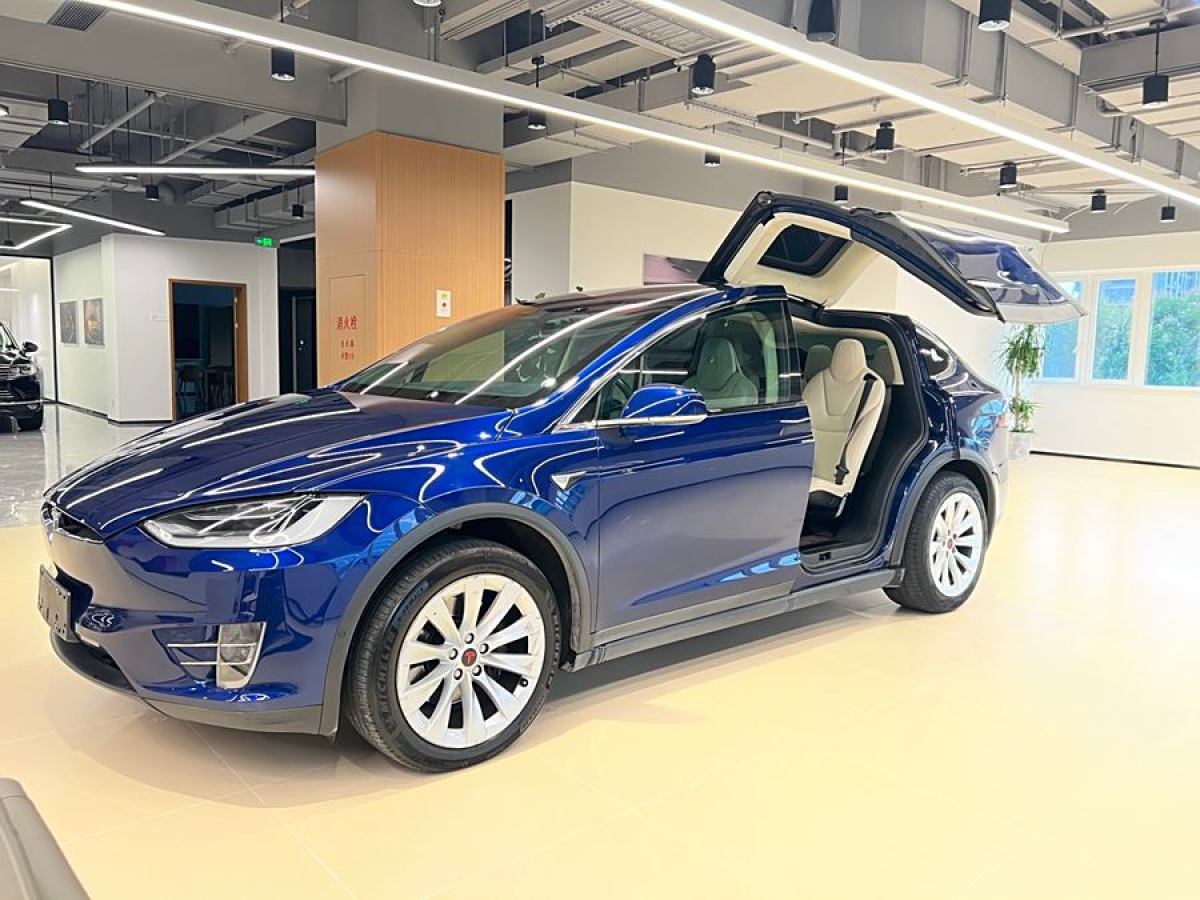 特斯拉 Model X  2017款 Model X 100D 長(zhǎng)續(xù)航版圖片