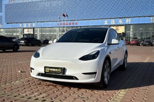 Model 3 特斯拉 后輪驅(qū)動版