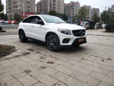 2019年1月 奔馳 奔馳GLE AMG AMG GLE 43 4MATIC圖片