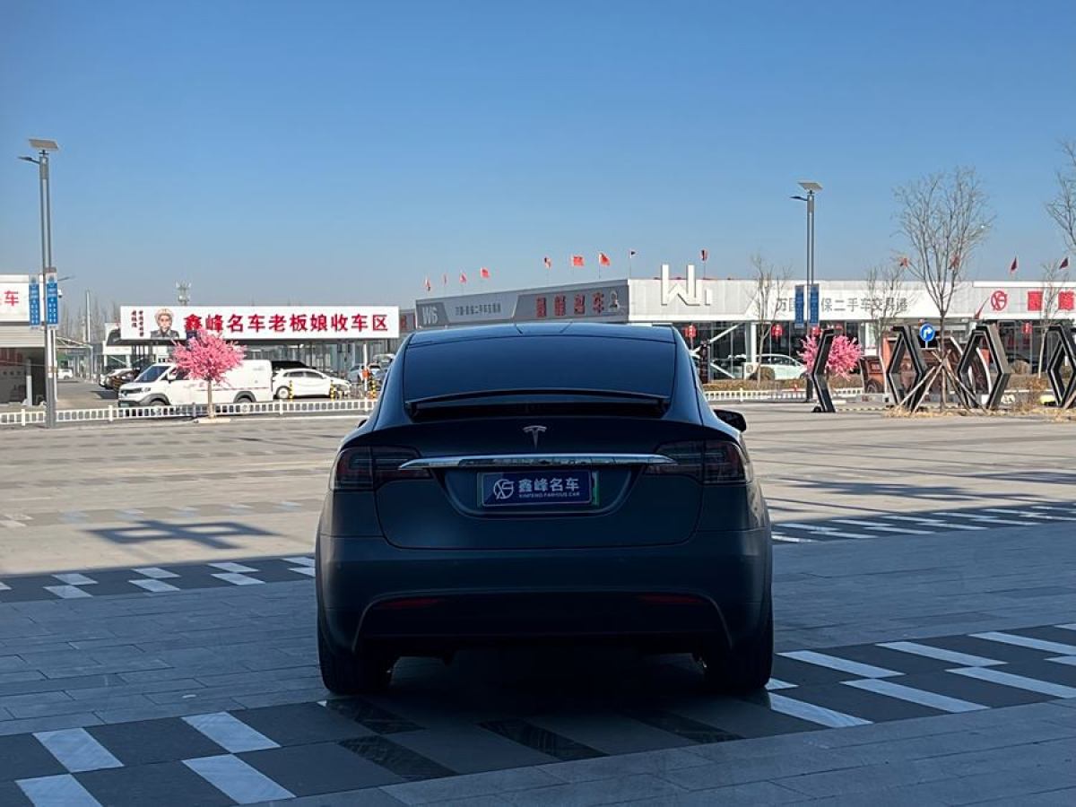 特斯拉 Model X  2017款 Model X 100D 長(zhǎng)續(xù)航版圖片