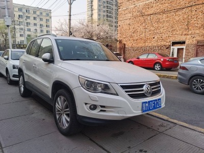 2010年3月 大眾 Tiguan(進(jìn)口) 2.0TSI 豪華版圖片