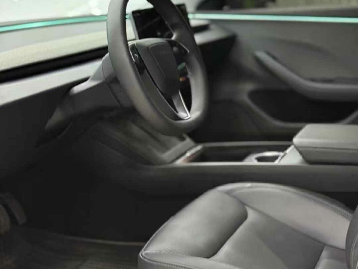 特斯拉 Model Y  2024款 Performance高性能版圖片