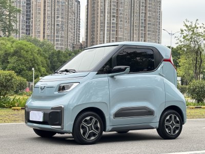 2021年11月 五菱 五菱NanoEV 热爱款图片