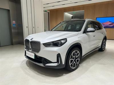 2023年11月 寶馬 寶馬iX1 xDrive30L X設(shè)計(jì)套裝圖片