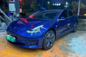 Model 3 特斯拉 标准续航后驱升级版