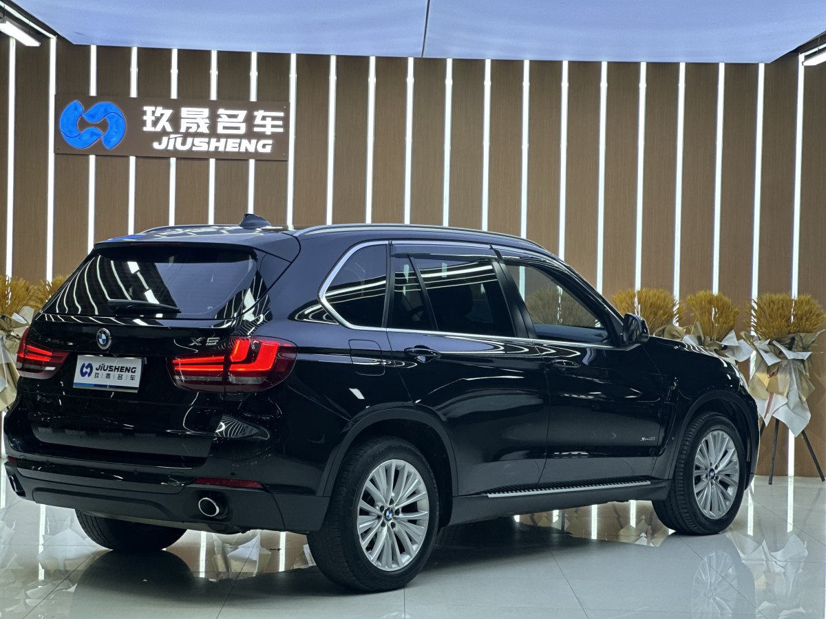 寶馬 寶馬X5  2014款 xDrive35i 領(lǐng)先型圖片