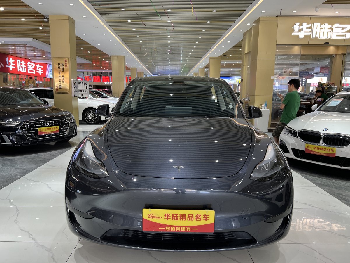 特斯拉 Model Y  2020款 改款 長續(xù)航后輪驅(qū)動版圖片