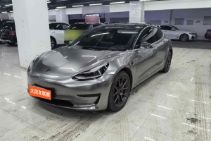 Model 3 特斯拉 標(biāo)準(zhǔn)續(xù)航后驅(qū)升級(jí)版