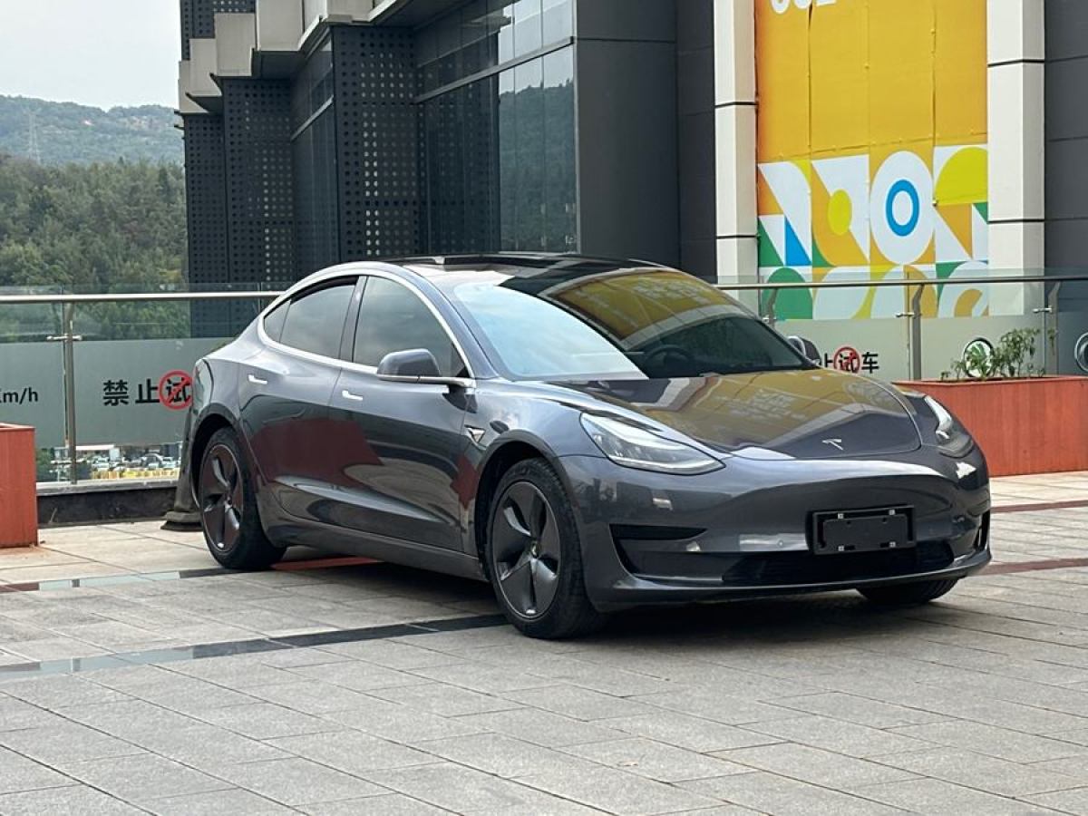 特斯拉 Model 3  2020款 改款 標(biāo)準(zhǔn)續(xù)航后驅(qū)升級版圖片