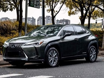 2022年1月 雷克薩斯 雷克薩斯UX新能源 300e 純?悅版圖片