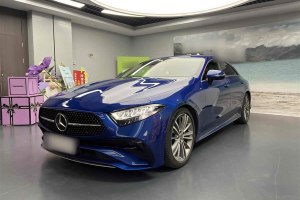 奔馳CLS級(jí) 奔馳 CLS 300 動(dòng)感型