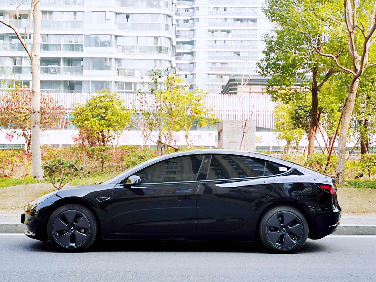 特斯拉 Model 3  2019款 標(biāo)準(zhǔn)續(xù)航后驅(qū)升級(jí)版圖片