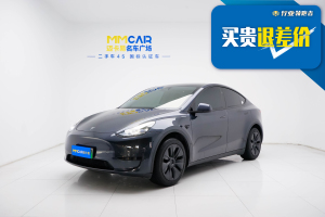 Model Y 特斯拉 后輪驅(qū)動(dòng)版