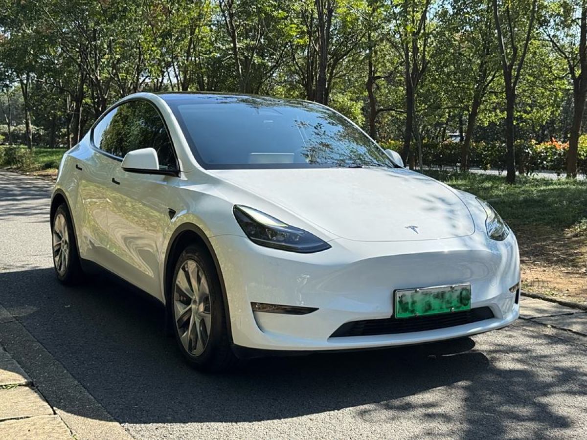 特斯拉 Model 3  2021款 改款 標準續(xù)航后驅(qū)升級版圖片