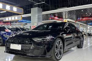 奥迪A7L 奥迪 45 TFSI quattro S-line 黑武士版