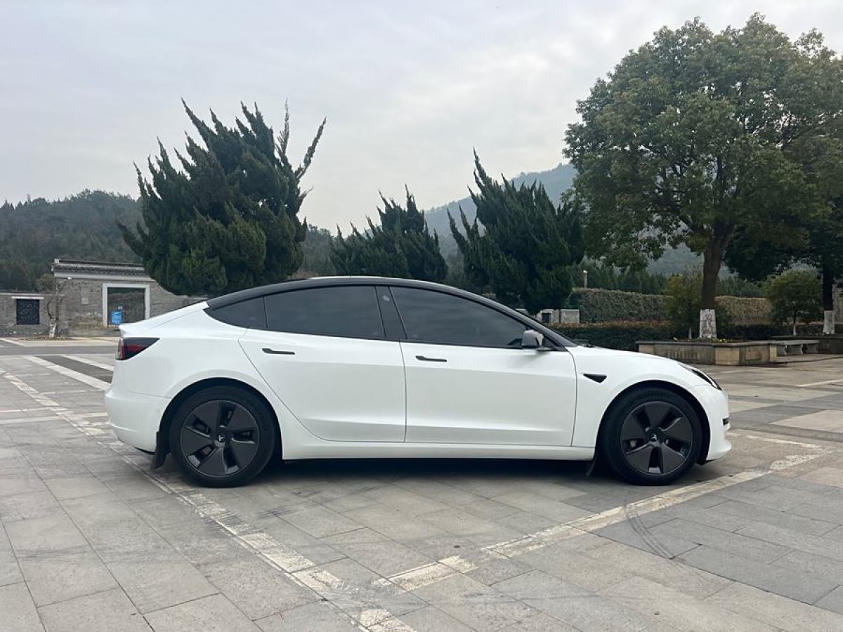 特斯拉 Model Y  2022款 改款 后輪驅(qū)動版圖片