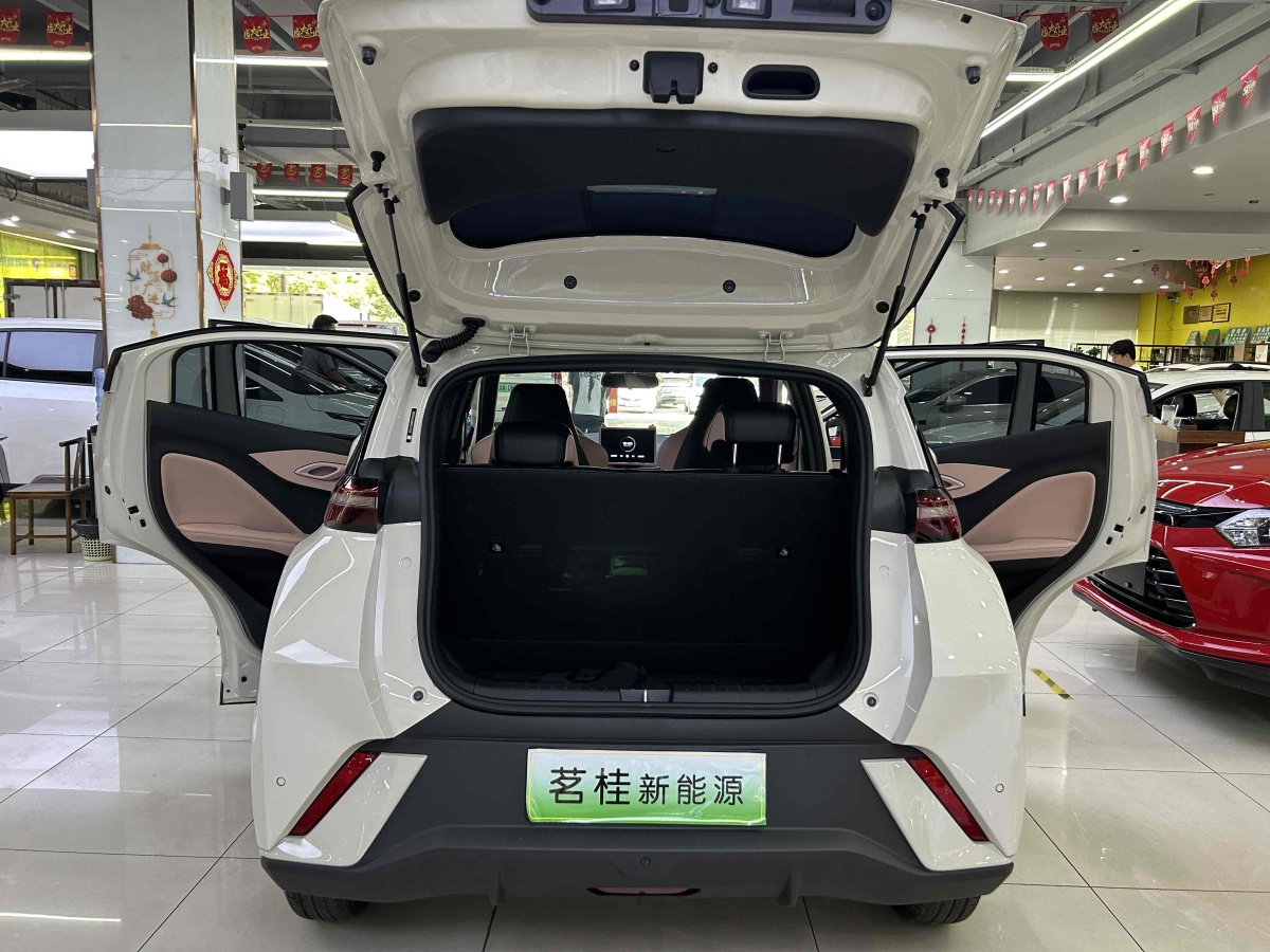 比亞迪 海鷗  2024款 榮耀版 305km 活力版圖片