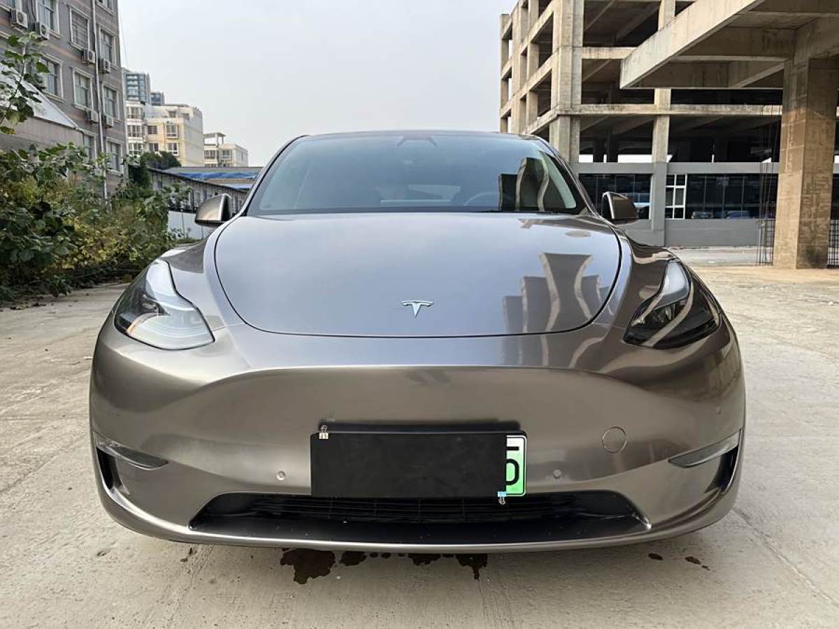 特斯拉 Model Y  2021款 改款 Performance高性能全輪驅(qū)動版圖片