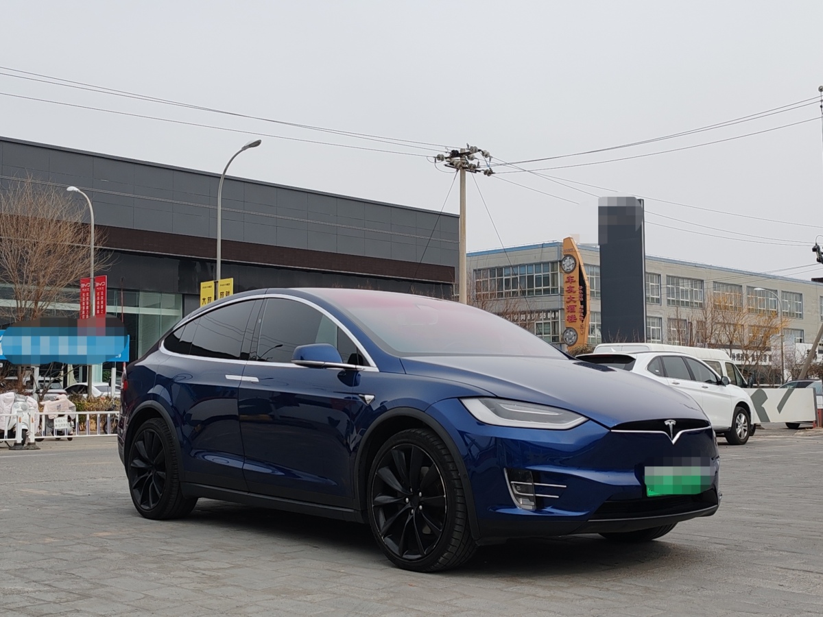 特斯拉 Model X  2017款 Model X 100D 長續(xù)航版圖片