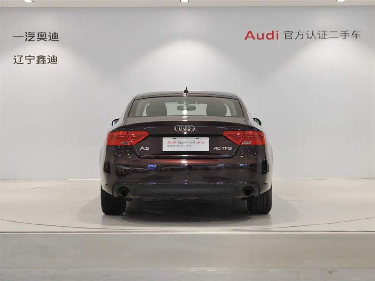 奧迪 奧迪A5  2013款 Sportback 40 TFSI圖片