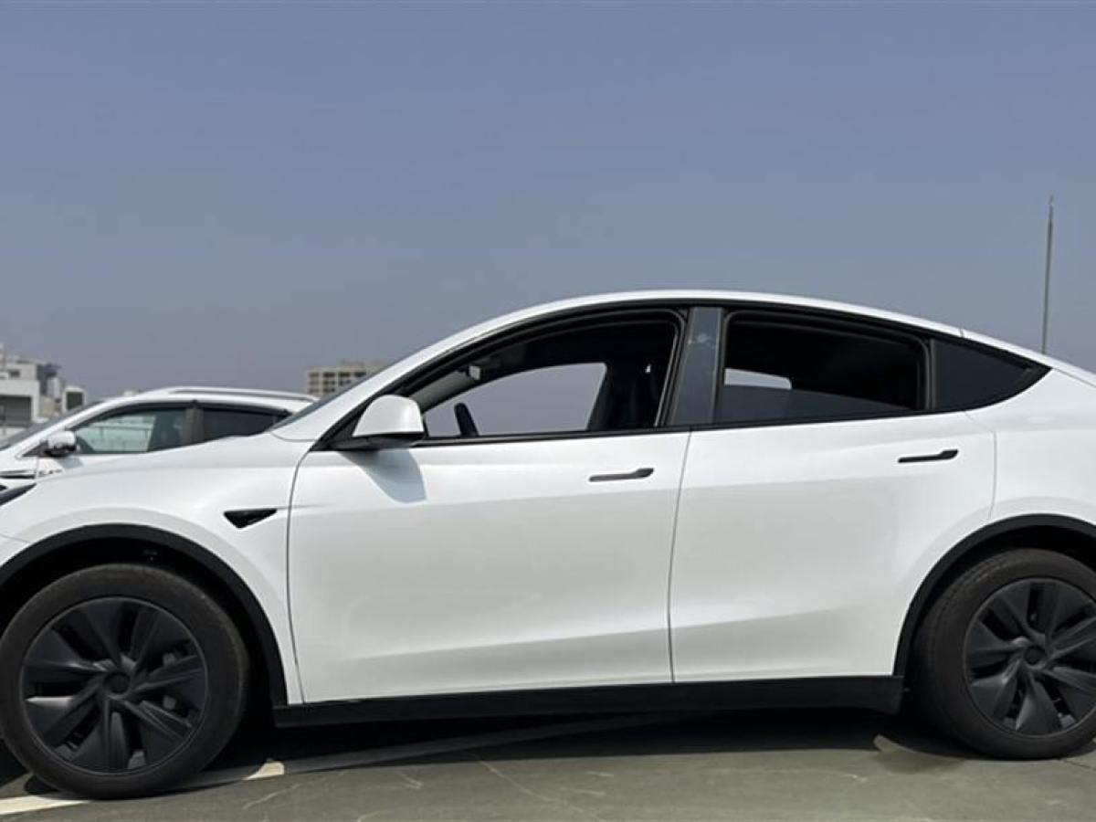 特斯拉 Model 3  2020款 改款 長續(xù)航后輪驅(qū)動版圖片