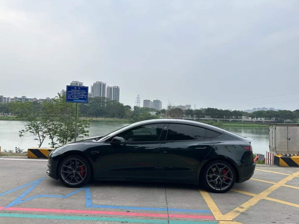 特斯拉 Model S  2021款 Performance 高性能版圖片