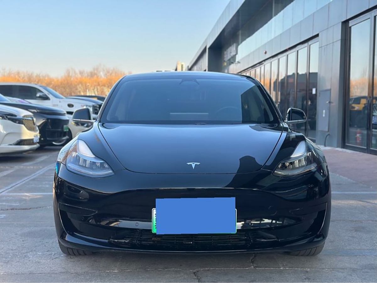 特斯拉 Model 3  2019款 標(biāo)準(zhǔn)續(xù)航后驅(qū)升級版圖片