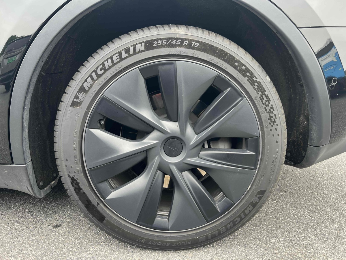 特斯拉 Model Y  2023款 長(zhǎng)續(xù)航全輪驅(qū)動(dòng)版圖片