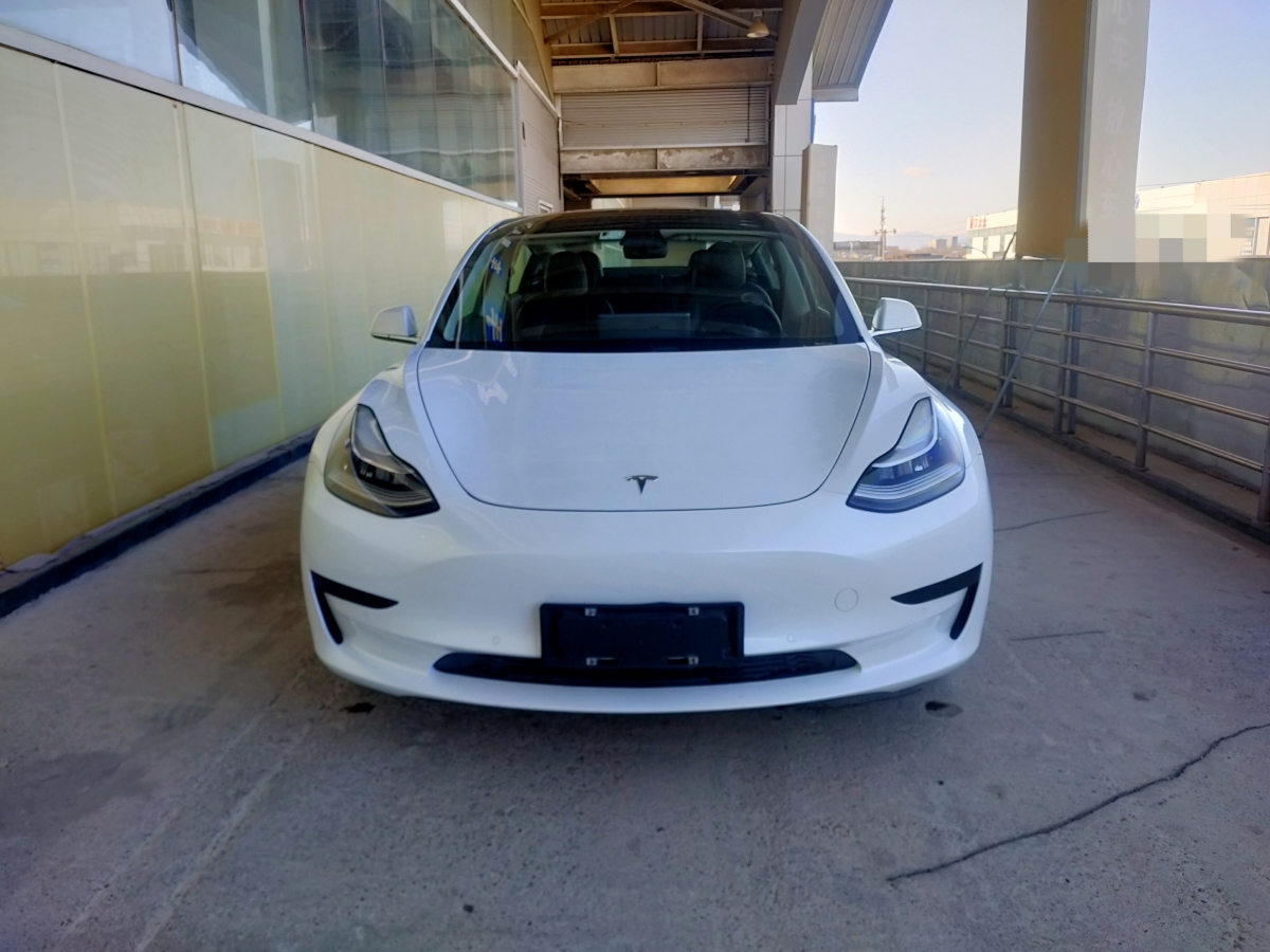 特斯拉 Model 3  2019款 標準續(xù)航后驅升級版圖片