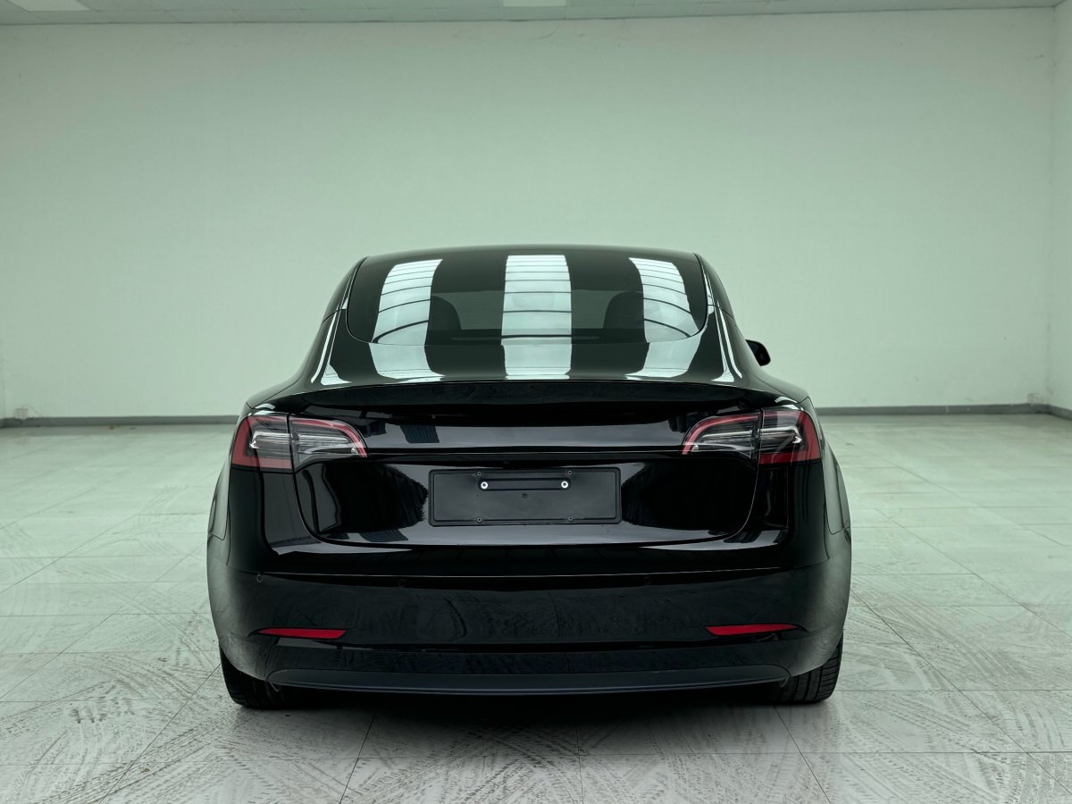 特斯拉 Model 3  2019款 標(biāo)準(zhǔn)續(xù)航后驅(qū)升級(jí)版圖片